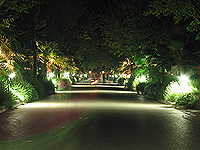 Campground by night